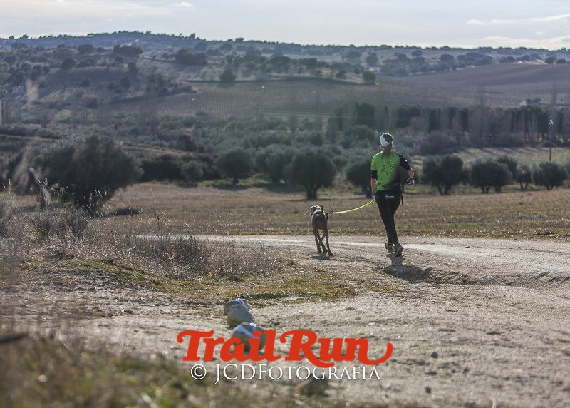 Mushing de Villamanta: canicross y bikejoring popular