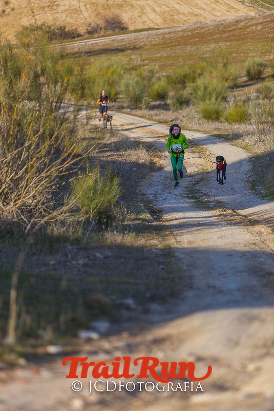 Mushing de Villamanta: canicross y bikejoring popular
