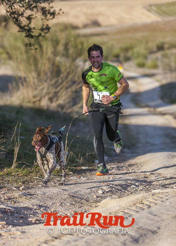 Mushing de Villamanta: canicross y bikejoring popular