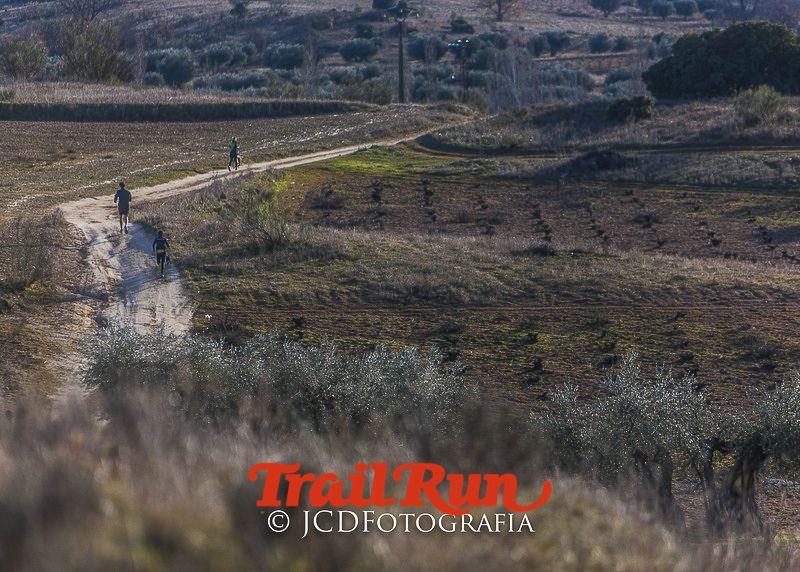 Mushing de Villamanta: canicross y bikejoring popular