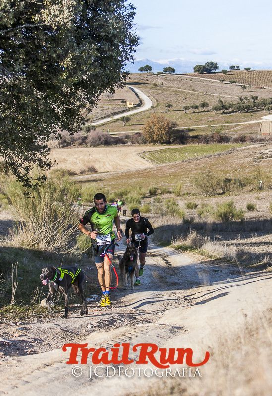Mushing de Villamanta: canicross y bikejoring popular