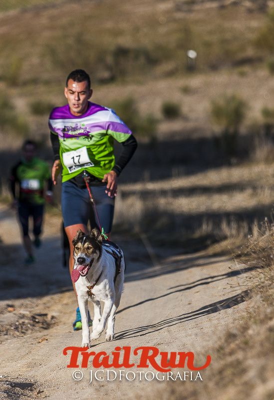 Mushing de Villamanta: canicross y bikejoring popular