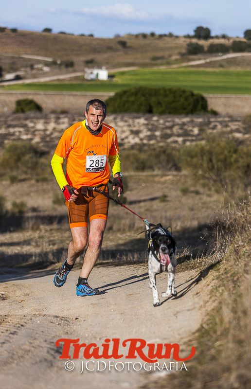 Mushing de Villamanta: canicross y bikejoring popular