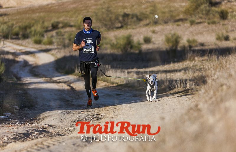 Mushing de Villamanta: canicross y bikejoring popular