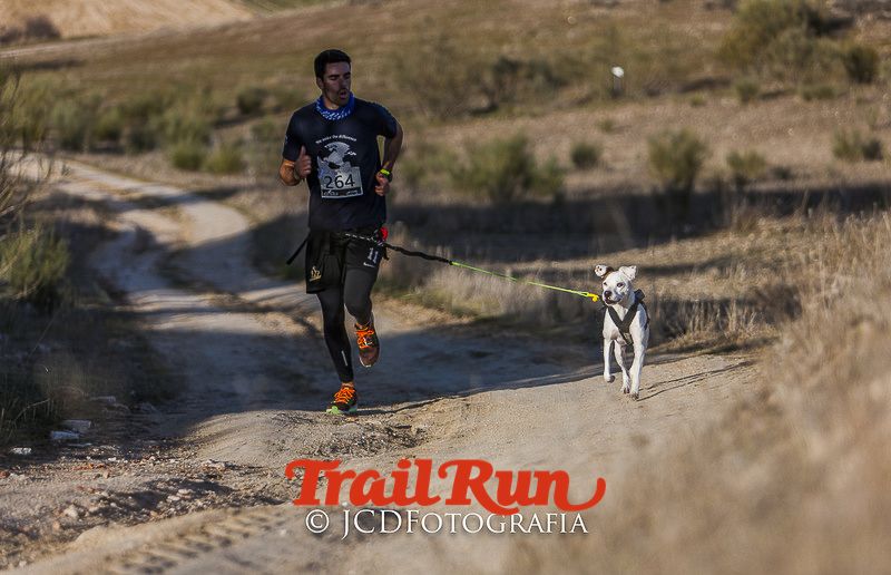 Mushing de Villamanta: canicross y bikejoring popular