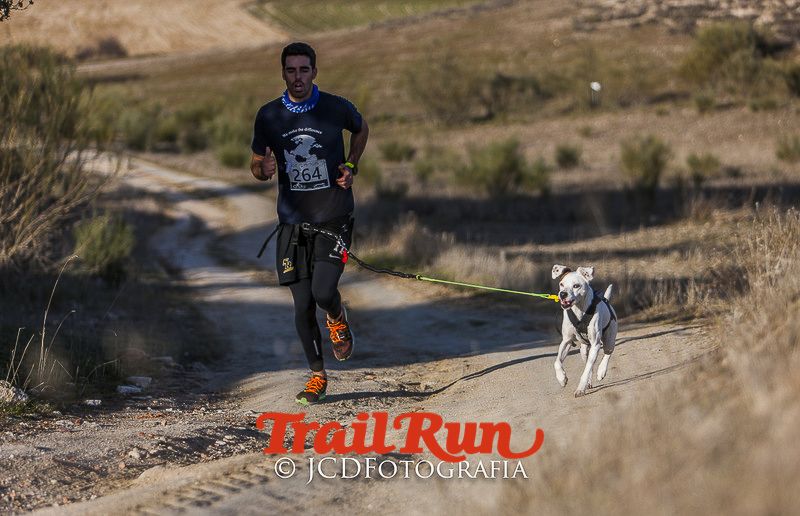 Mushing de Villamanta: canicross y bikejoring popular