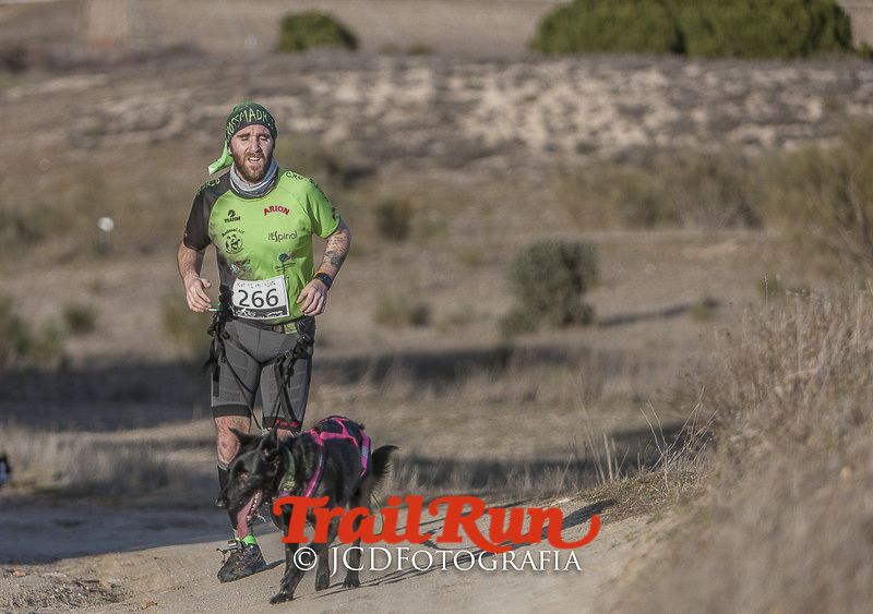 Mushing de Villamanta: canicross y bikejoring popular