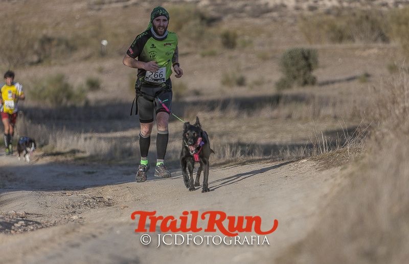Mushing de Villamanta: canicross y bikejoring popular