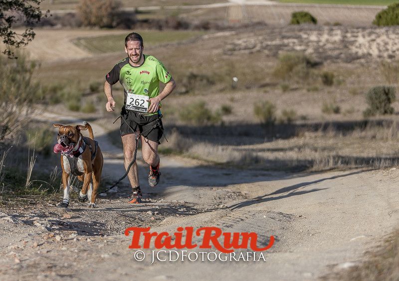 Mushing de Villamanta: canicross y bikejoring popular