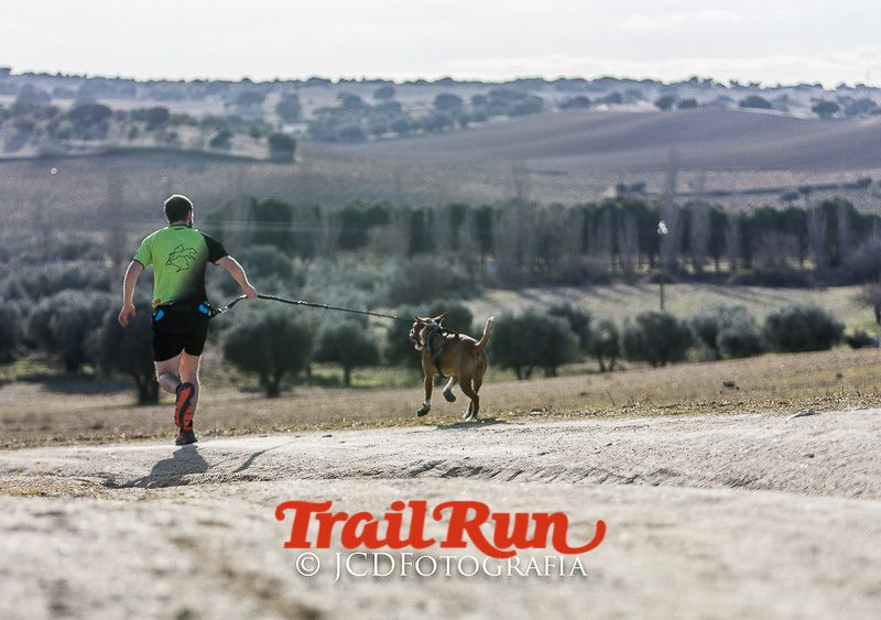 Mushing de Villamanta: canicross y bikejoring popular