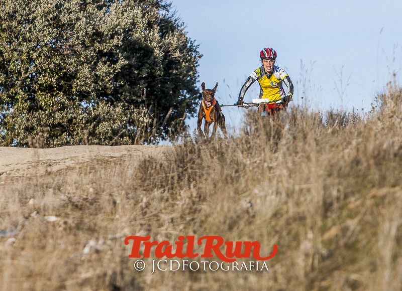 Mushing de Villamanta: canicross y bikejoring popular