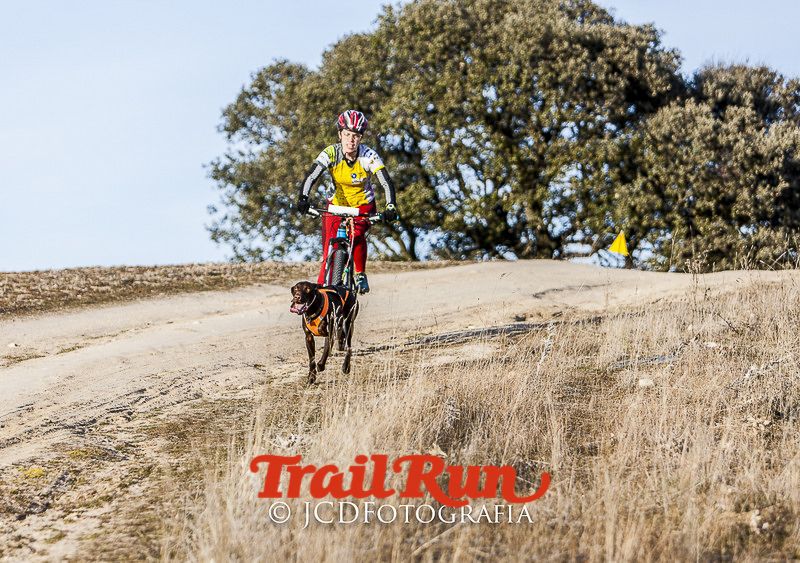 Mushing de Villamanta: canicross y bikejoring popular