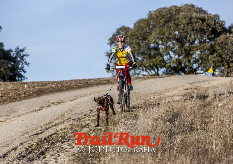 Mushing de Villamanta: canicross y bikejoring popular