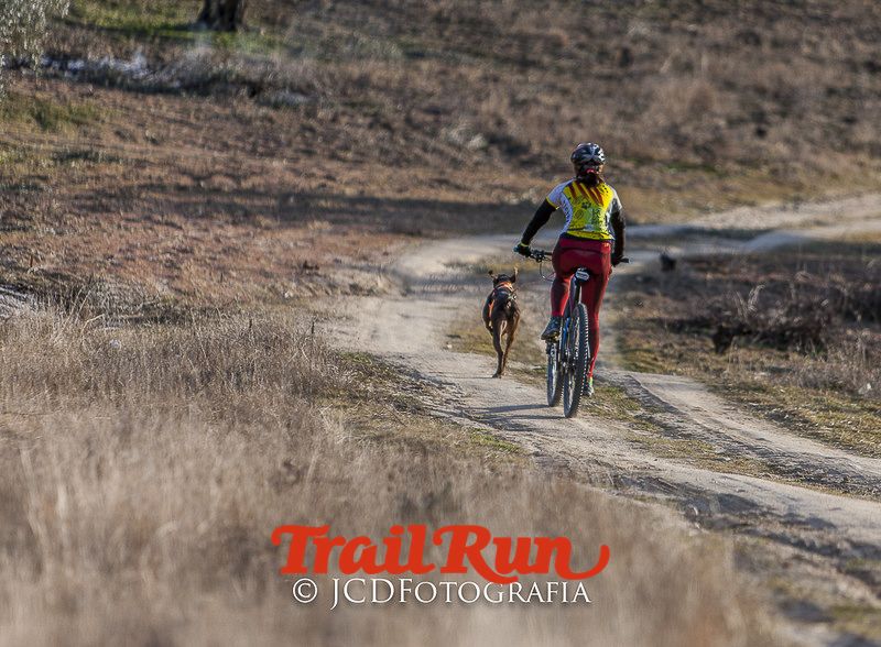 Mushing de Villamanta: canicross y bikejoring popular