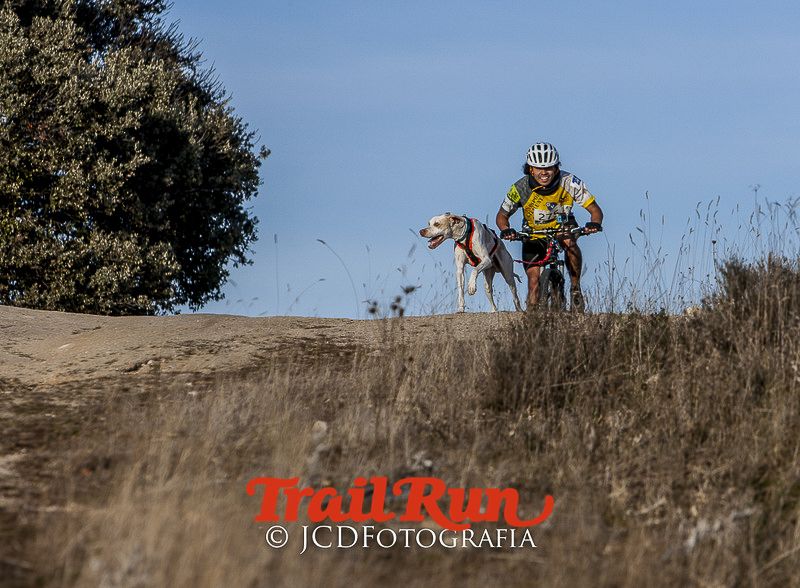 Mushing de Villamanta: canicross y bikejoring popular