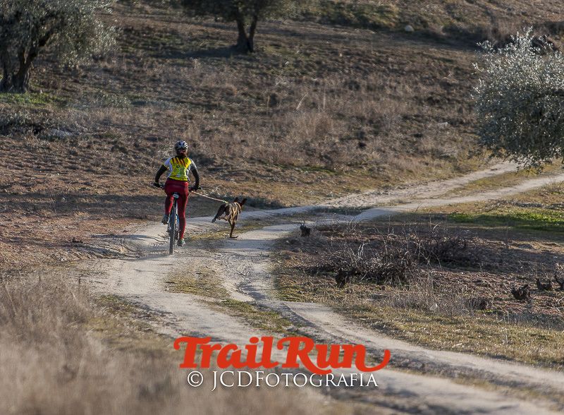 Mushing de Villamanta: canicross y bikejoring popular