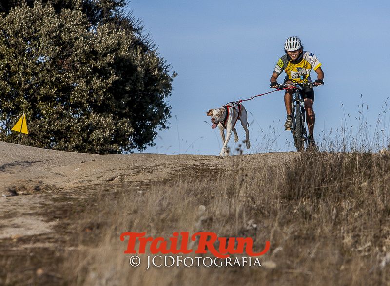 Mushing de Villamanta: canicross y bikejoring popular