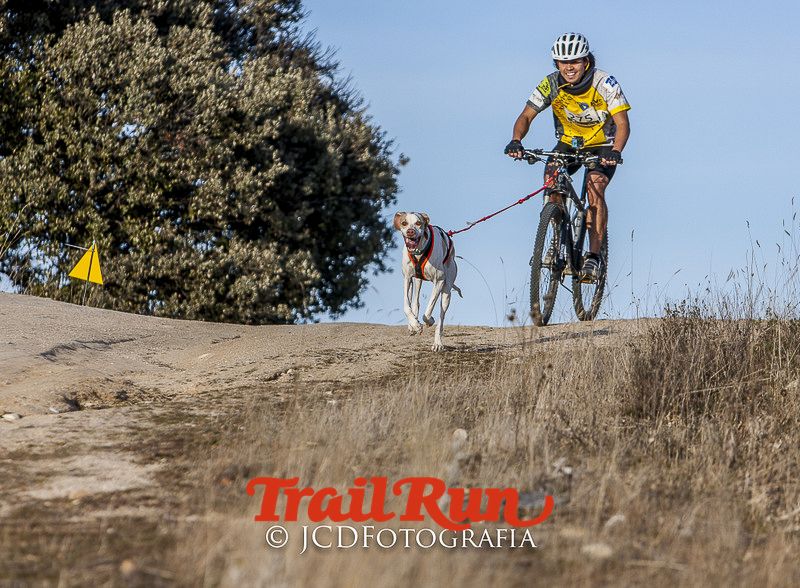 Mushing de Villamanta: canicross y bikejoring popular
