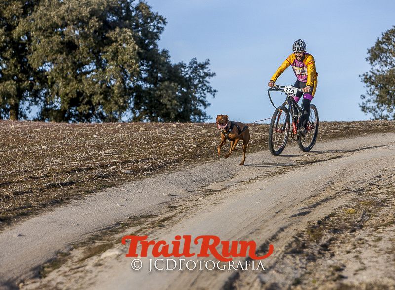 Mushing de Villamanta: canicross y bikejoring popular