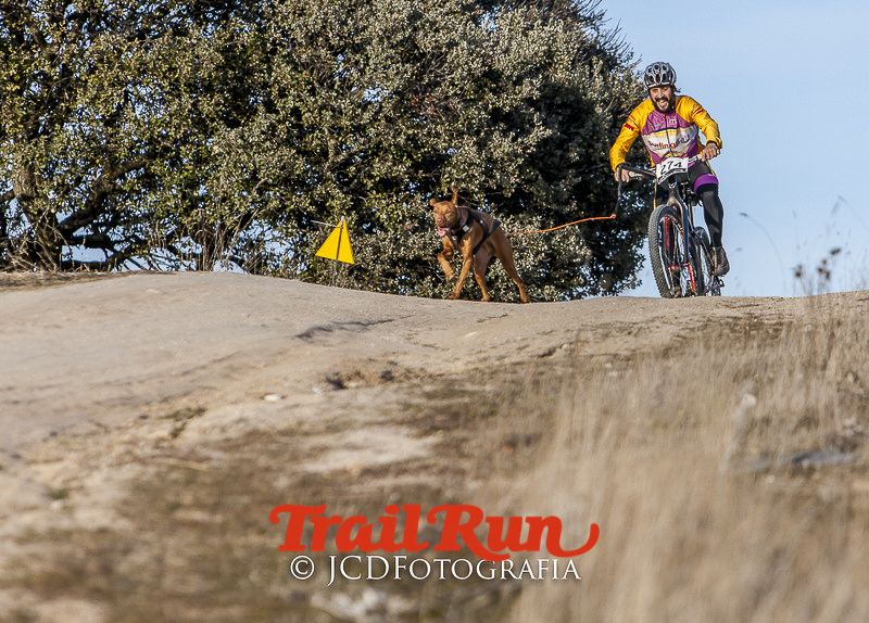 Mushing de Villamanta: canicross y bikejoring popular