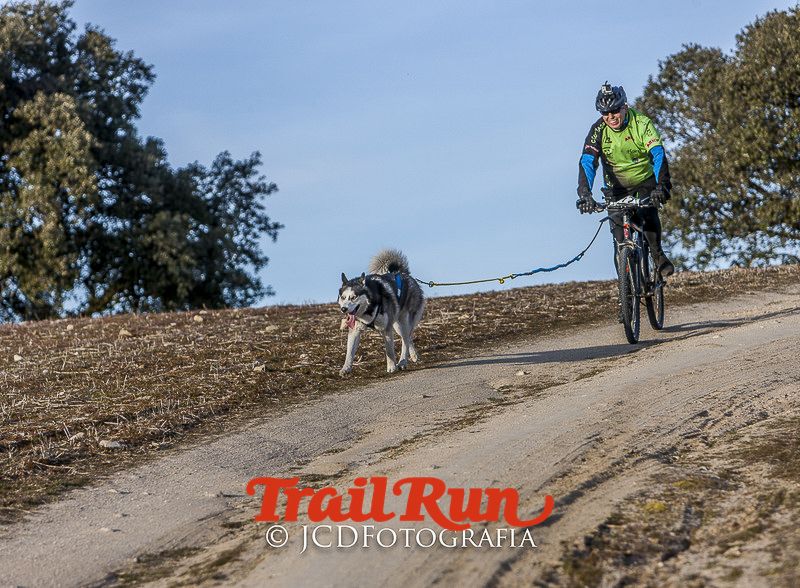 Mushing de Villamanta: canicross y bikejoring popular