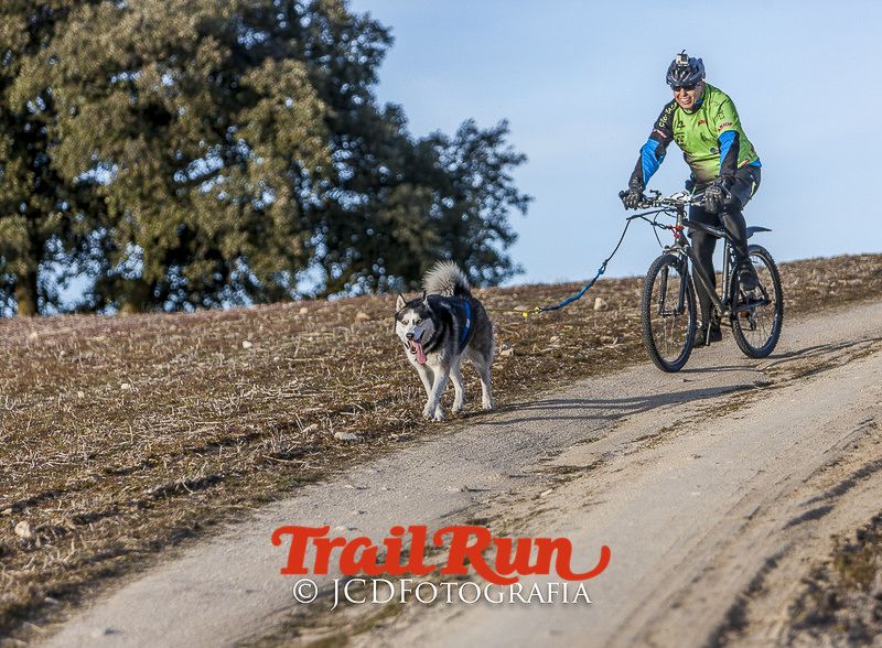 Mushing de Villamanta: canicross y bikejoring popular