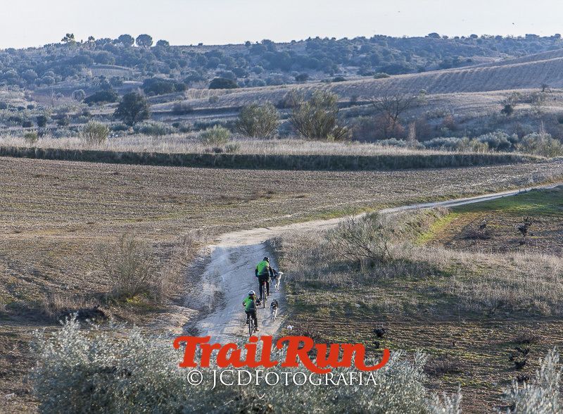 Mushing de Villamanta: canicross y bikejoring popular