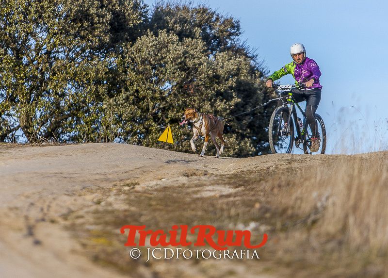 Mushing de Villamanta: canicross y bikejoring popular
