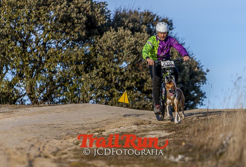 Mushing de Villamanta: canicross y bikejoring popular