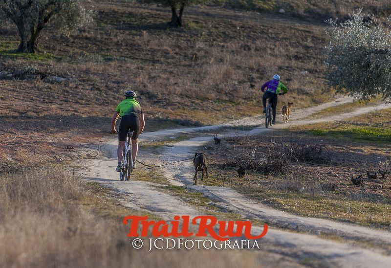 Mushing de Villamanta: canicross y bikejoring popular