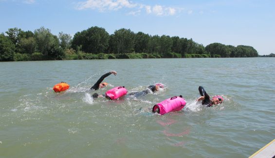 Nadar en grupo o en familia en aguas abiertas... con seguridad. Nadar en grupo o en familia en aguas abiertas... con seguridad.