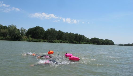 Nadar en grupo o en familia en aguas abiertas... con seguridad. Nadar en grupo o en familia en aguas abiertas... con seguridad.