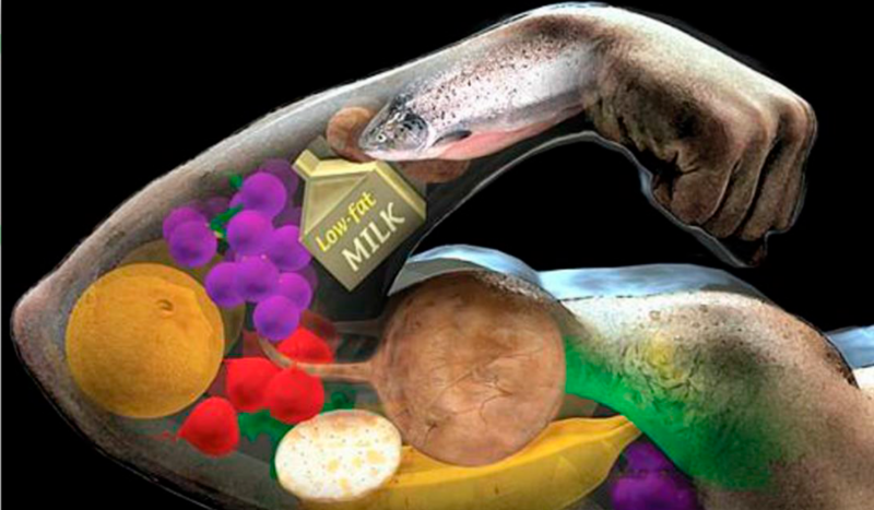 [VÍDEO] ¿Qué alimentos nos aportan mayor carga de proteína animal?