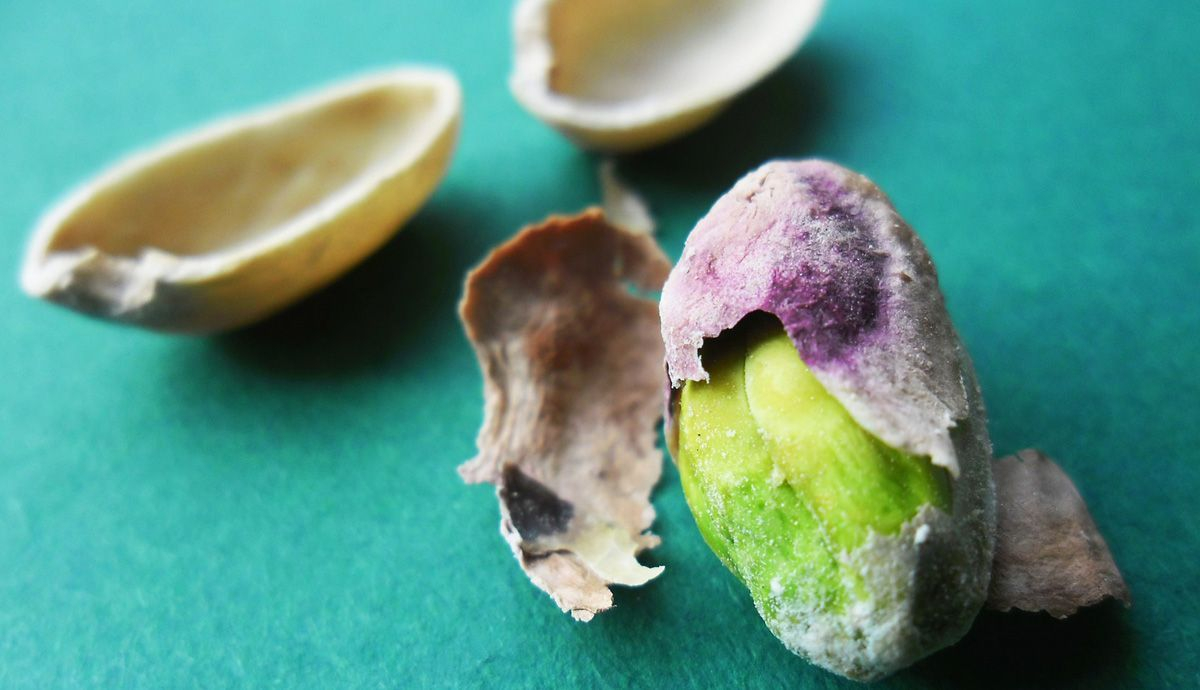 Pistachos, alimento para la supervivencia Pistachos, alimento para la supervivencia