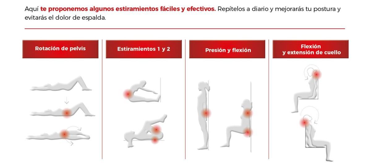 dolor de espalda MedGen dolor de espalda MedGen