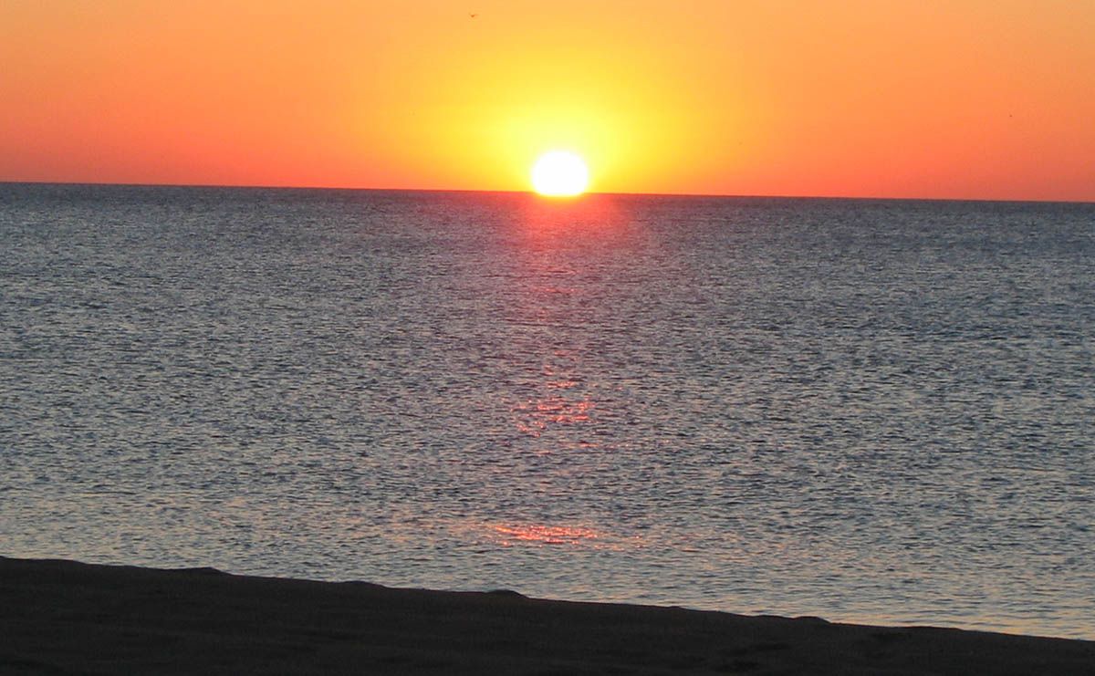 sale el sol 4 sale el sol 4