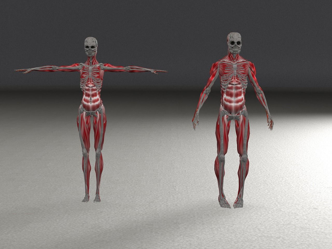 skeleton g27a60a18a 1280 skeleton g27a60a18a 1280