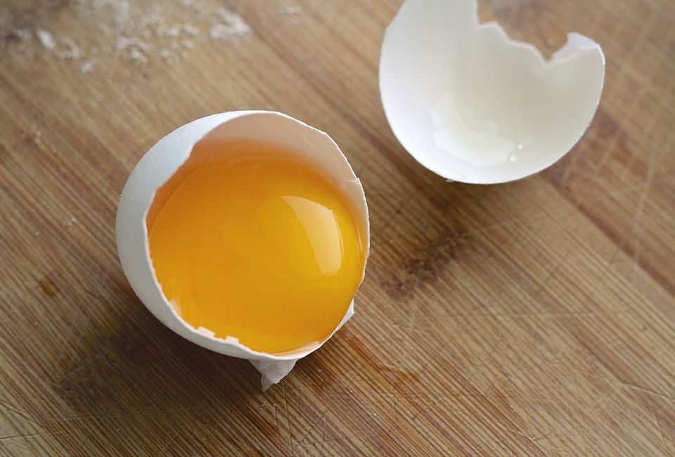 egg 1460404 960 720 egg 1460404 960 720