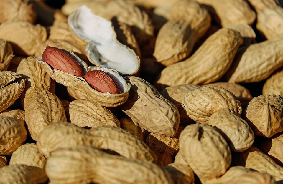nuts 1736520 960 720 nuts 1736520 960 720