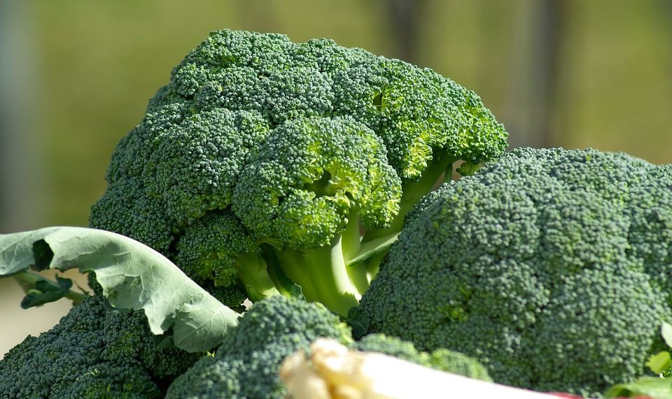 vegetables 673181 960 720 vegetables 673181 960 720