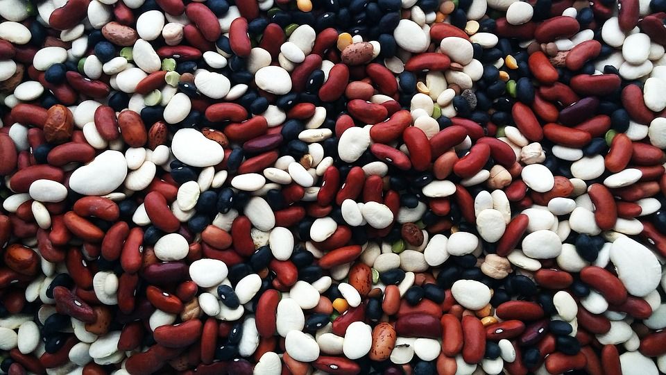 beans 3907708 960 720 beans 3907708 960 720