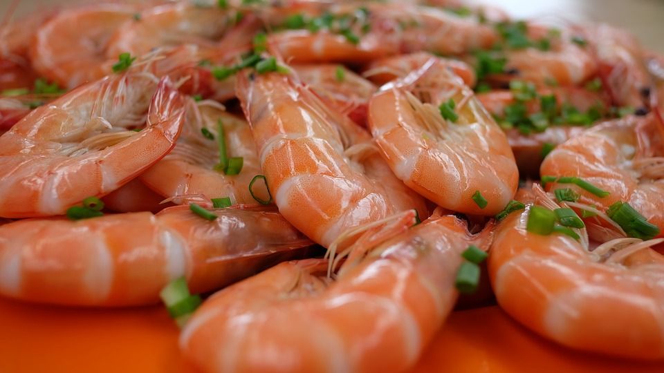 prawns 2348933 960 720 prawns 2348933 960 720