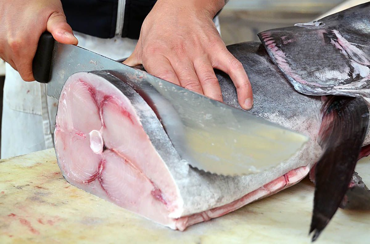 fish 4403395 960 720