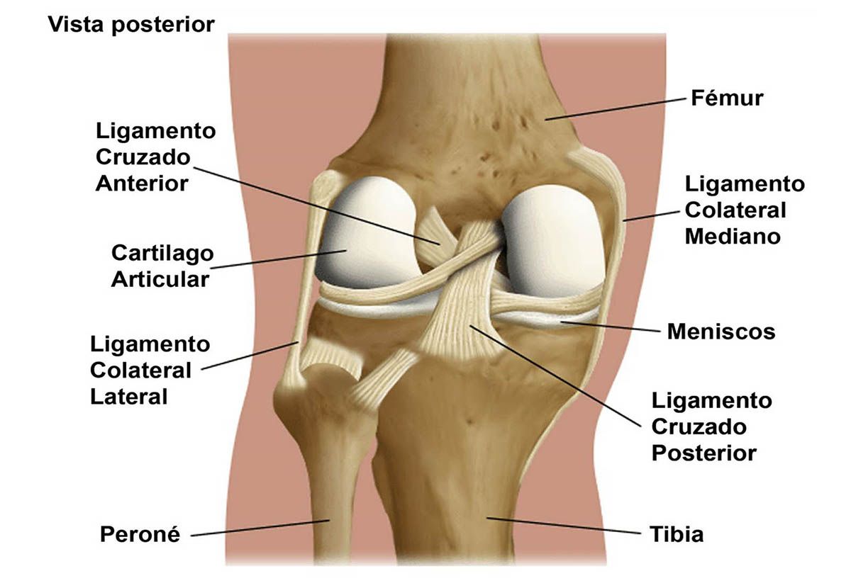 distension de ligamentos distension de ligamentos