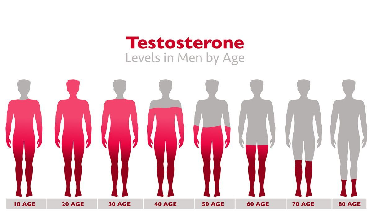 Disminución de los niveles de testosterona con la edad Disminución de los niveles de testosterona con la edad