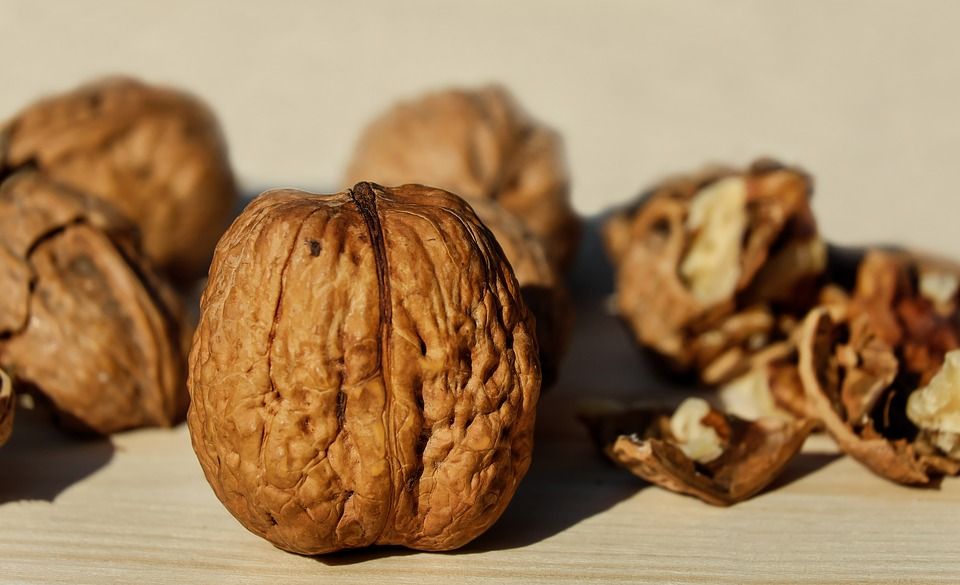 walnuts 1739021 960 720