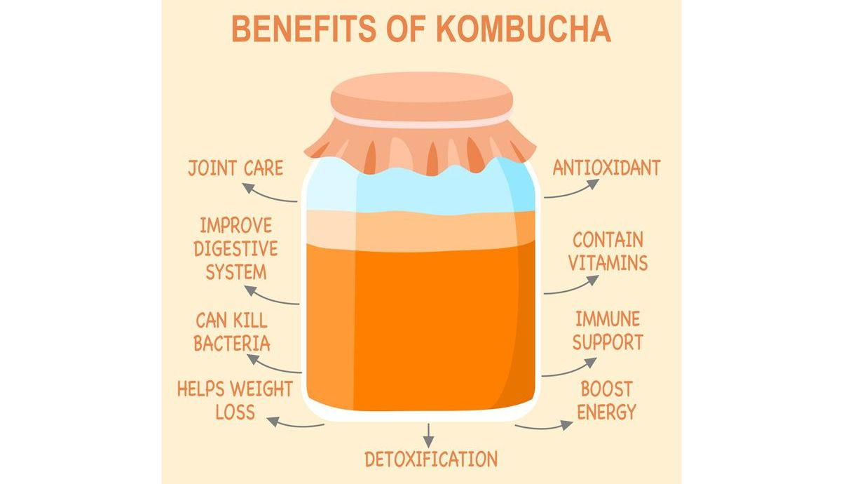 Beneficios de la kombucha w Beneficios de la kombucha w