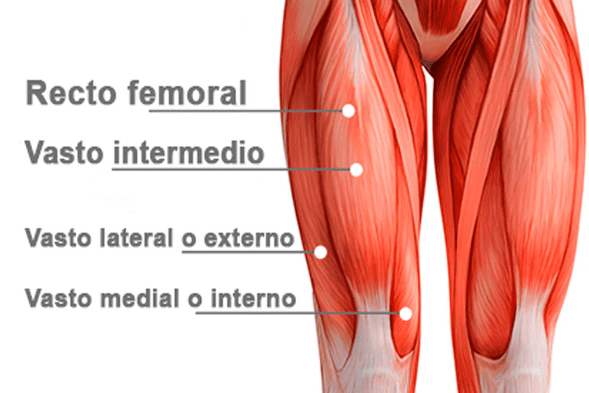 Los 7 ejercicios para fortalecer tus cuádriceps