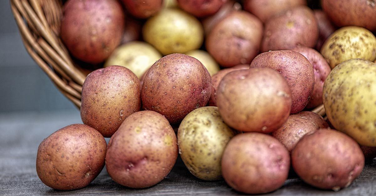 La proteína de la patata para ganar masa muscular