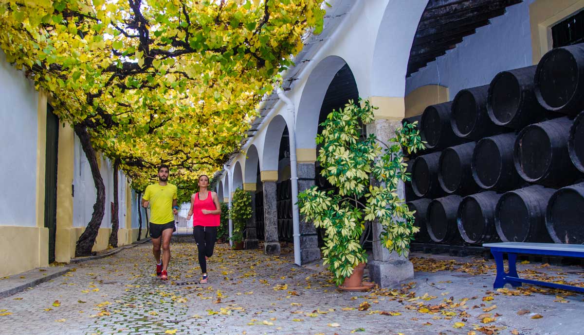 Cádiz, con el Sherrymaratón, te hace una propuesta diferente y motivadora para correr